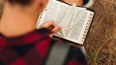 Como o Espírito Santo Testemunha ao Crente sobre a Bíblia