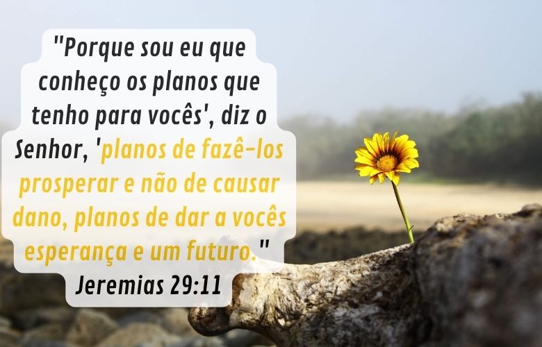 Não Desistir das Promessas de Deus versículo Jeremias 29-11