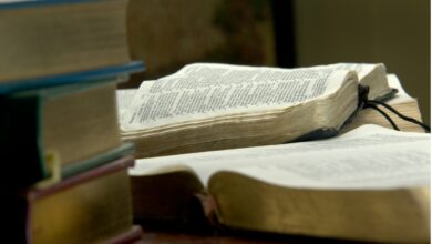 Por que há tantas traduções diferentes da Bíblia