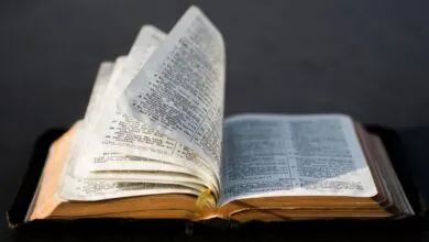 Versículos Bíblicos sobre Justiça e Retidão