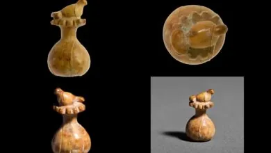 Tesouro Arqueológico Revela Artefato de Marfim com Simbolismo Feminino