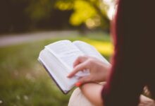 Versículos bíblicos sobre tolerância