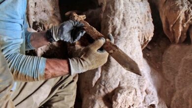 Espadas Romanas de 1.900 Anos Descobertas no Deserto da Judeia