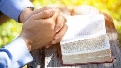 Quais são os Provérbios sobre Obediência na Bíblia