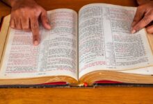 Quantos capítulos e versículos a Bíblia tem