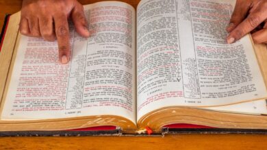 Quantos capítulos e versículos a Bíblia tem