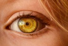 devocional menina dos olhos de Deus