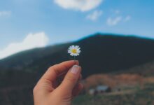 devocional cuidado de Deus nos detalhes