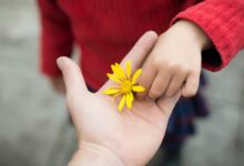 O que você coloca na mão de Deus alcança o destino certo - devocional