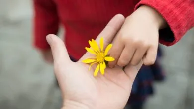 O que você coloca na mão de Deus alcança o destino certo - devocional