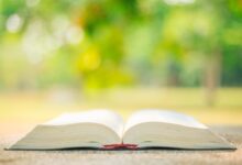 melhores versículos para fazer devocional do dia