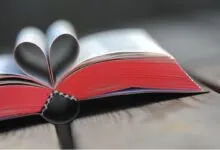 versículos sobre amor na Bíblia