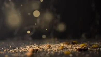 Esboço de pregação migalhas que caem da mesa Mateus 15