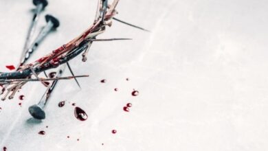 hinos da harpa sobre o sangue