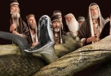 raca de viboras significado