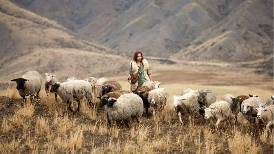 como era o trabalho do pastor de ovelhas nos tempos bíblicos