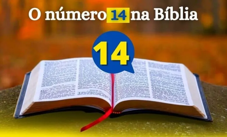 O número 14 na Bíblia significado