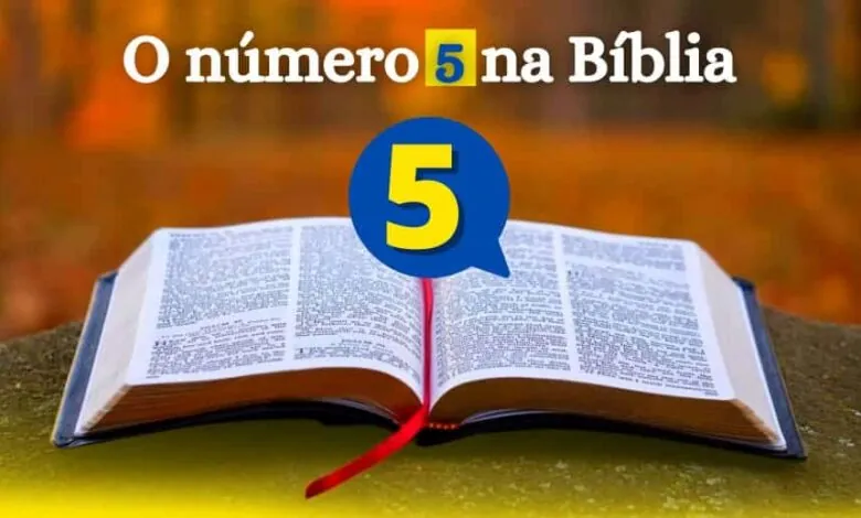Número 5 na Bíblia e seu Significado