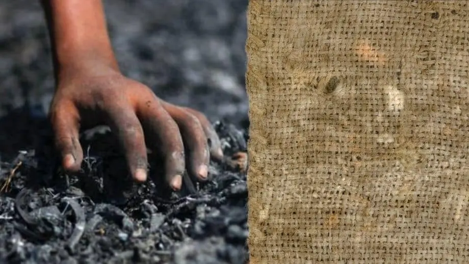 O que pano de saco e cinzas significam na Bíblia
