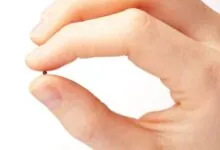 fé como um grão de mostarda