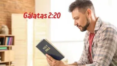 Gálatas 2-20 Significado e Comentário com Explicação