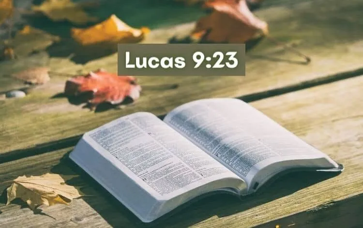 Lucas 9-23 Significado e Comentário com Explicação