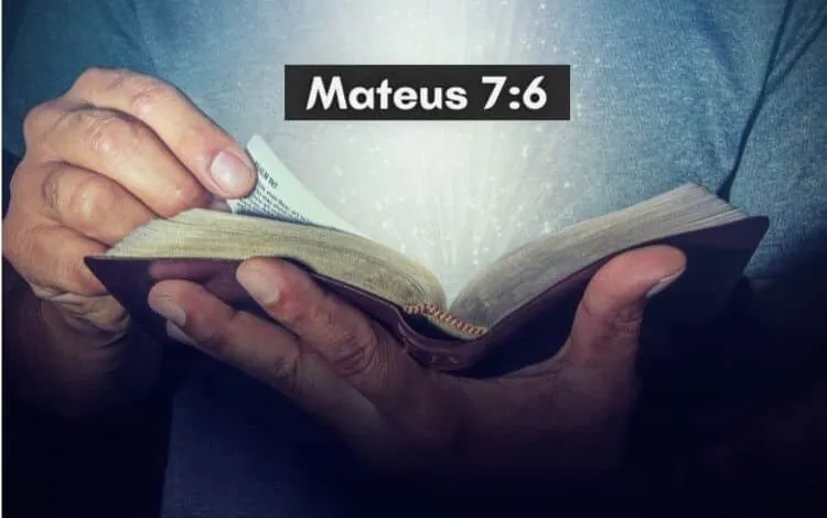 Mateus 7-6 Significado e Comentário com Explicação