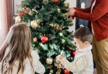 montar arvore de natal