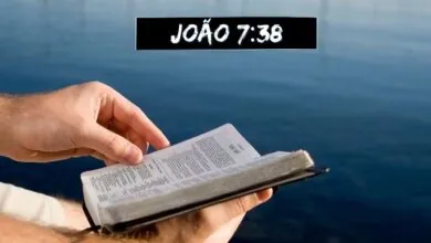 João 7-38 Significado de Rios de água viva correrão do seu ventre