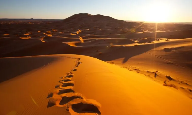 estudo bíblico: O Significado dos Desertos na Bíblia Uma Jornada de Fé e Preservação