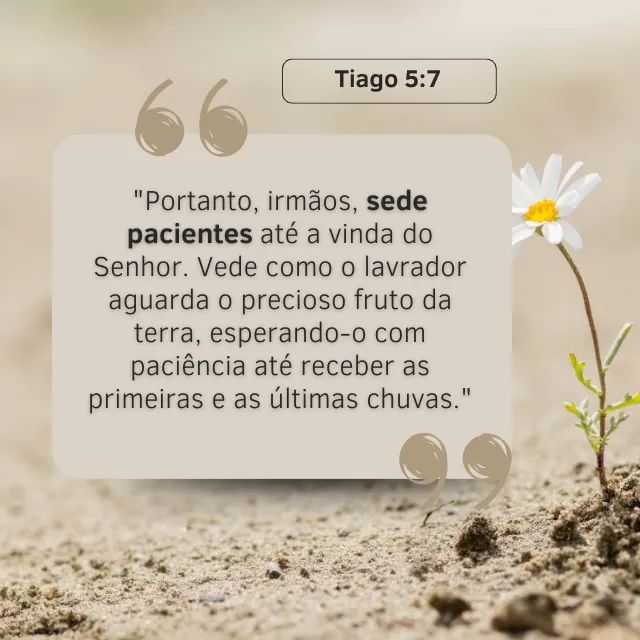 versículo paciência de espera