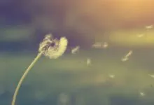 Os 3 Sopros de Deus - esboço de pregação