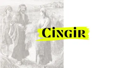 significado de cingir na Bíblia