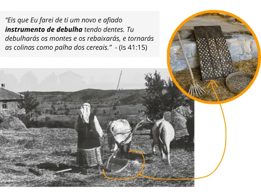 tribulum de debulha tempos bíblicos