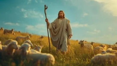 João 10 Explicação do Bom Pastor